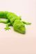 Подвижная игрушка "Полевая ящерица". 27 см LIZARD-0003-27-LGREEN &ndash; фото №4