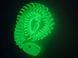 Подвижная игрушка Скелетная Змея (Разные цвета). 106 см SNAKE-SKELETON-81-PHGREEN &ndash; фото №2