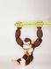 22 см. Рухома іграшка Donkey Kong. (Різні кольори). 3D-друк безпечним органічним пластиком. Ручне офарбовування DONKEY-KONG-22-BROWN - фото №3